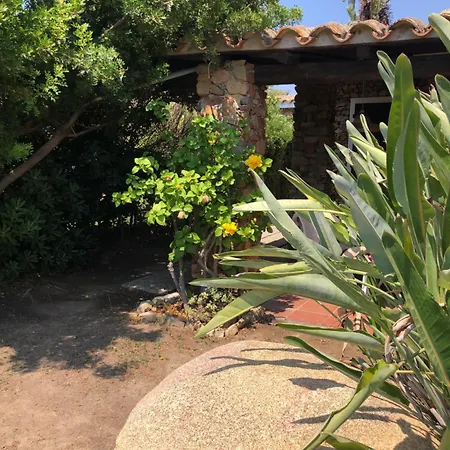 Luxury * سيمِيوس