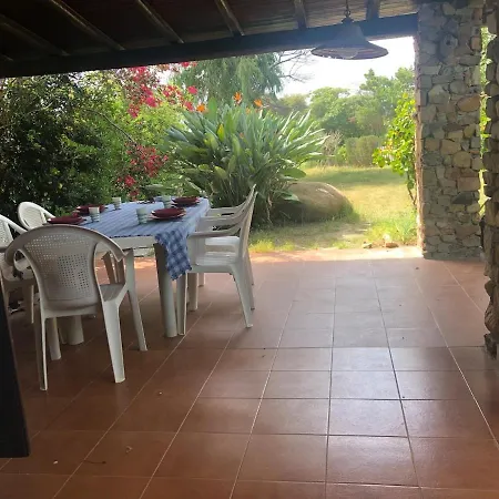 Luxury * سيمِيوس