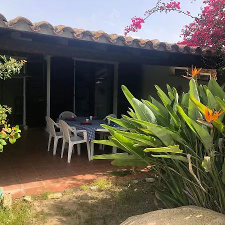 Luxury سيمِيوس