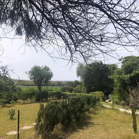 Luxury * سيمِيوس