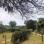 Luxury * سيمِيوس